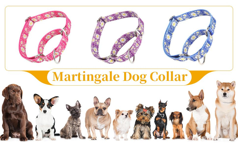 Martingale Collar for Dogs, Adjustable Soft Nylon Dog Collars with Design Cute Daisy Design Patterns for Small Medium Large Dog (Purple, Medium) Purple - PawsPlanet Australia