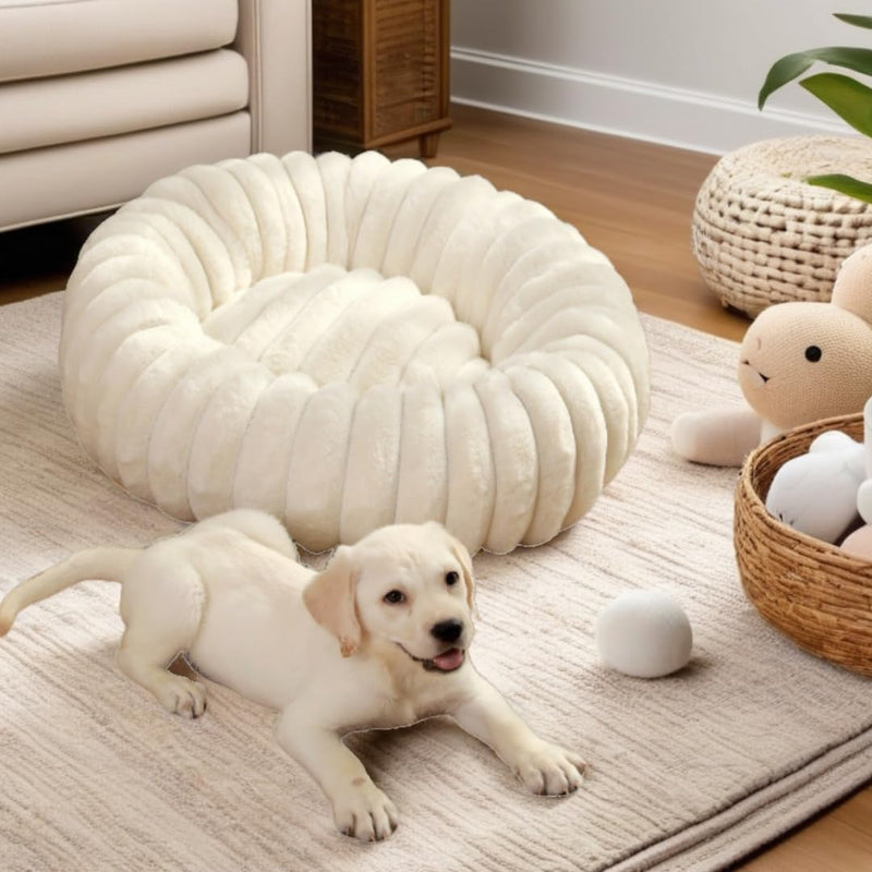CozyCalm Donut Pet Bed - 19.7 or 23.6 inch Diameter - Ultra-Soft, Calming, Washable - Cats, Small Medium Dogs Furniture Cream 19.7inch outer dia., 11.8inch inner dia. - PawsPlanet Australia