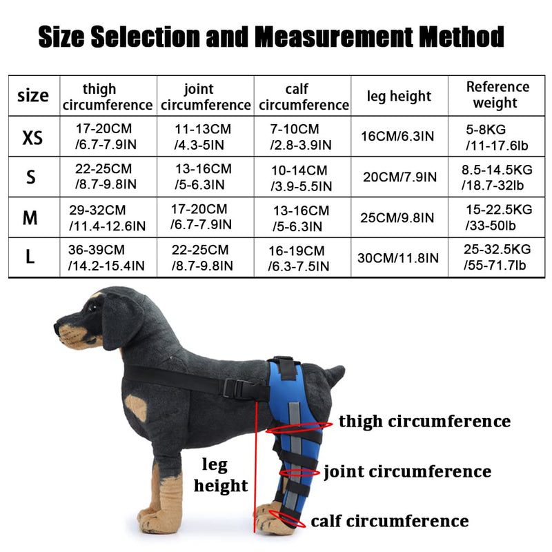 Dog Knee Brace Adjustable Dog Double Rear Leg Brace with Metal Hinged Flexible Support and Reflective Seat Belts Dog Acl Brace Hind Leg Blue (M) Medium - PawsPlanet Australia