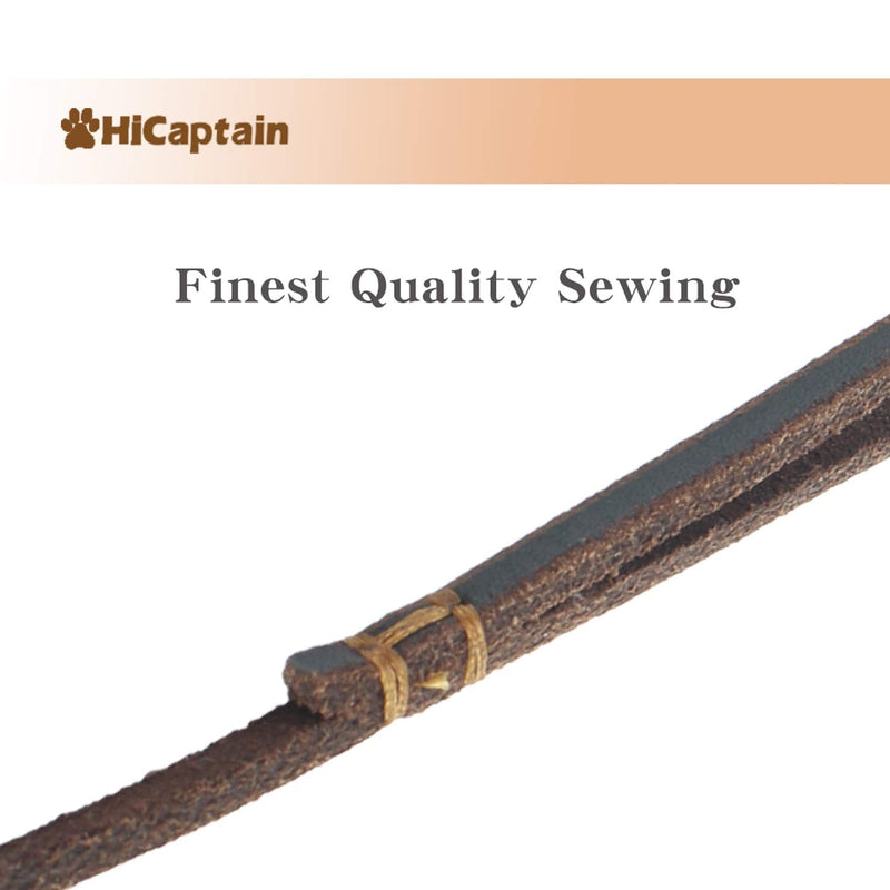 HiCaptain Thin Leather Pet Leash, Durable Dog Leashes Suit for Small Dog Up to 15 lb 00(1/5 inch Wide, 6 Ft) Brown Regular 1/5 inch Wide, 6 Feet - PawsPlanet Australia
