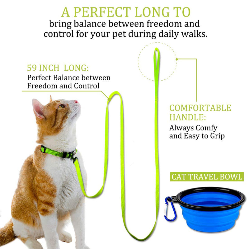 2 Pack Dog and Cat Leash With Easy to Use Collar Hook - Strong and Durable for Small and Medium Pets - Includes Collapsible Pet Bowl (Set 3-Black+Green) Set 03-Black+Green 2/3"x 5 FT - PawsPlanet Australia