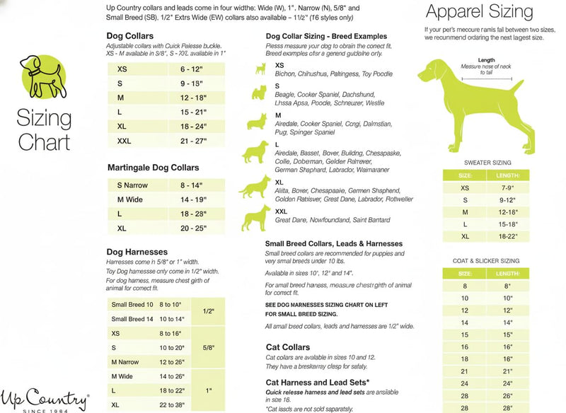 Martingale Collar | Daisy - PawsPlanet Australia