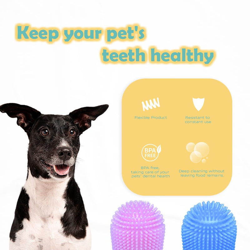 Cylindrical dog toothbrush for Dogs–the Easy to Use Dog Tooth Brushing Kit, With of Toothbrush for Dogs you will get the Hygiene, Takes Care of Teeth and Gums, Ideal for Pets of All Ages-2 Pack Blue, Pink 1 Count (Pack of 2) - PawsPlanet Australia