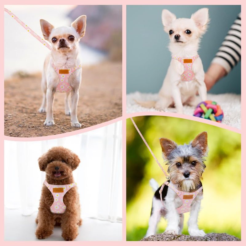 Lukovee Puppy Harness and Leash Set, No Pull Lightweight Soft Suede Adjustable Pet Harness Vest with Snap Buckle for Puppy Small and Medium Size Dog (Pink-XXS) XX-Small ( 2.2-6lb ) Pink Daisy - PawsPlanet Australia