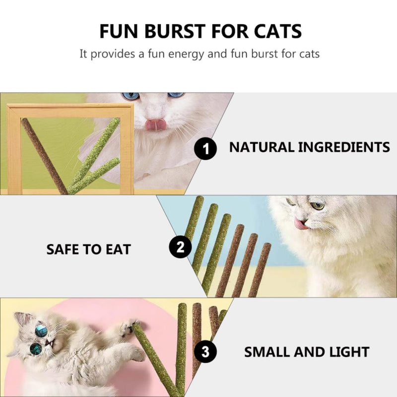 STOBAZA Edible Cat Licks for Dental Care and Improved Tongue Movement, 12 Pieces with Catnip and Bile Fruit for Indoor Cats at Home