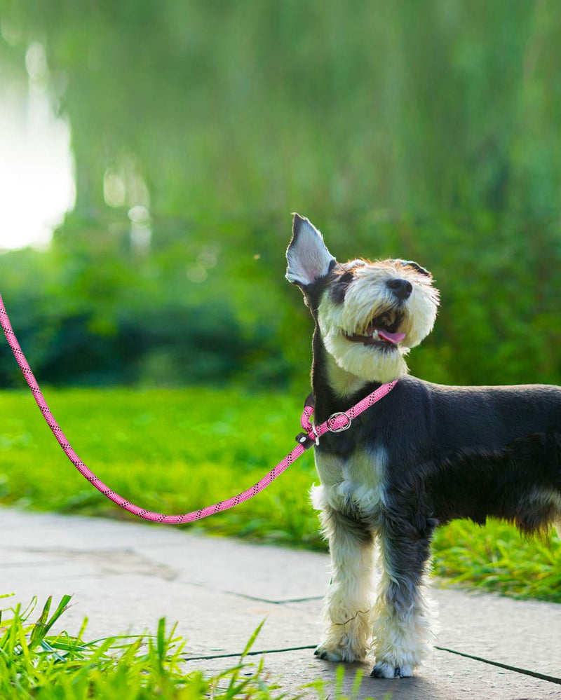TagME Slip Leads for Dogs, 6 FT Heavy Duty Slip Leash with Padded Handle, Strong Rope No Pull Pet Training Leash for Medium Dogs,Pink M-3/8"x6'(50-110lbs) Pink - PawsPlanet Australia