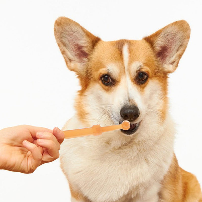 1Set Silicone Toothbrush for Cats and Dogs Double-Headed Pet Toothbrush Kit Soft Material for Gentle Cleaning for Small Dogs and Puppies Promotes Oral Health