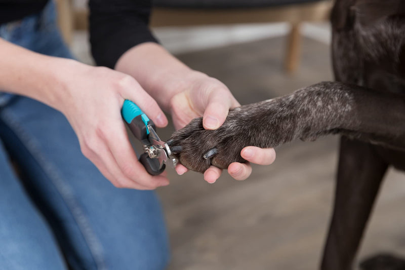 TRIXIE Pet Grooming Nail Clippers, for Medium and Large Size Dogs, 6" (16cm) - PawsPlanet Australia