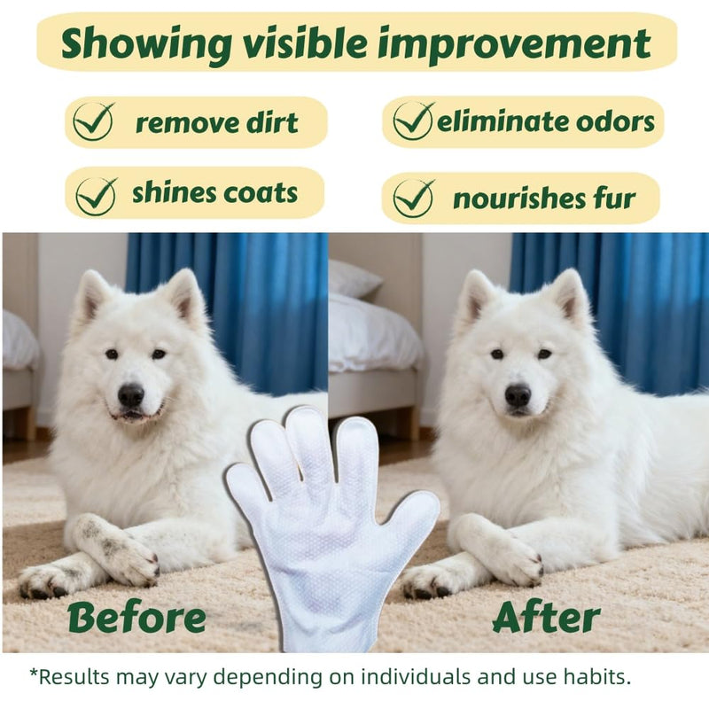 10-Pack Pet Cleaning Glove Wipes with Lid | Extra Thick Dog & Cat Grooming Gloves | Rinse-Free Bath Wipes with Coconut, Aloe, Corn & Jojoba for Odor Control & Daily Care 10 count - PawsPlanet Australia