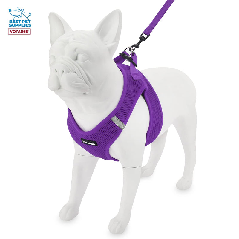 Voyager Step-in Air All Weather Mesh Harness and Reflective Dog 5 ft Leash Combo with Neoprene Handle, for Small, Medium and Large Breed Puppies by Best Pet Supplies - Leash Harness (Purple), L