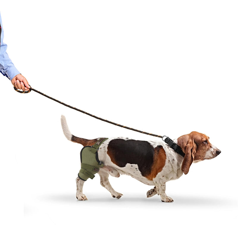 Dog Knee Brace for Male/Female Dogs - Neoprene Support Dog Leg Braces for Back Leg with Adjustable Straps and Belt - Torn ACL Hind Leg, Ligament Injury, Joint Pain and Stability (Medium, Left) Medium - PawsPlanet Australia