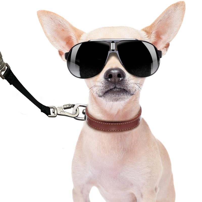 Double Ended Collar Backup Clip for Dog Harnesses, Safety Clip for Prong Collar with Gentle Nylon Webbing for Light Dog DKG0913-new
