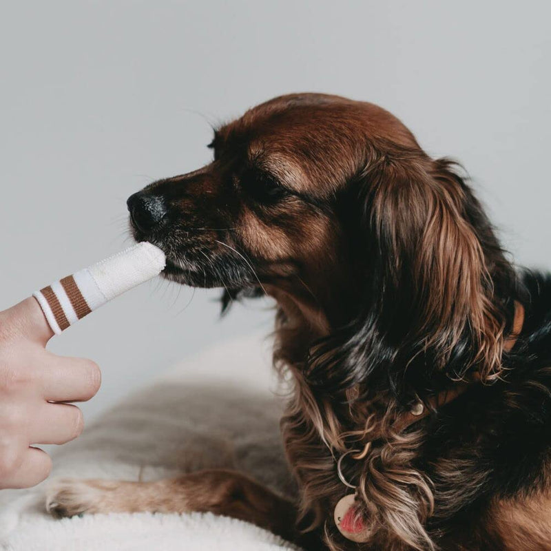LILA LOVES IT Toothbrush for Dogs - Practical Dental Micro Fleece Made of Micro-Fleece, Dental Care for Dogs, Gentle on Gums, Dental Micro Fleece