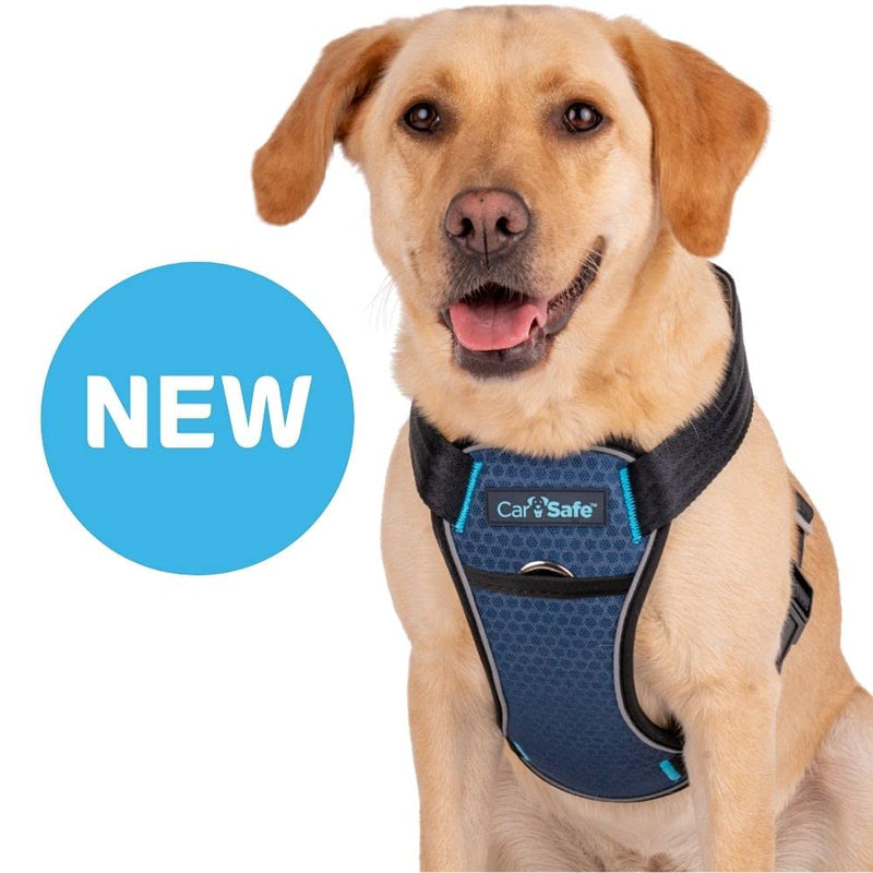 Carsafe Crash Tested Dog Harness Blue Large - PawsPlanet Australia