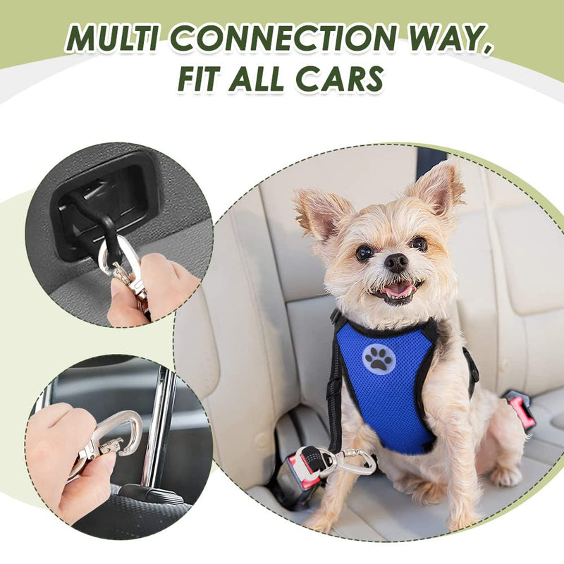SlowTon Dog Seat Belt Harness for Car, Dog Car Harness Adjustable Mesh Breathable & Dog Seatbelt Safety Tether with Elastic Bungee for Small Medium Large Pets(Blue, Double Clip, L) L-Blue - PawsPlanet Australia