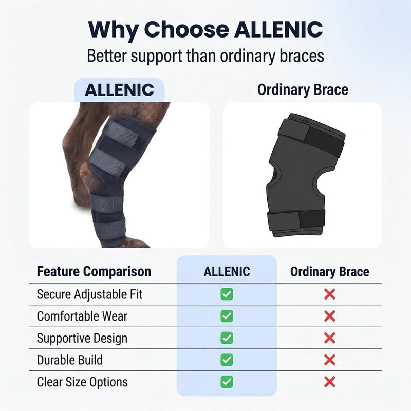 Dog Knee Braces for Back Leg, Dog Leg Brace Back Leg Support, Dog ACL Brace Hind Leg, Dog Knee Brace for ACL Tear Back Leg, Hip Dysplasia Brace, Hind Leg Support for Senior Dogs (Black, S) Black