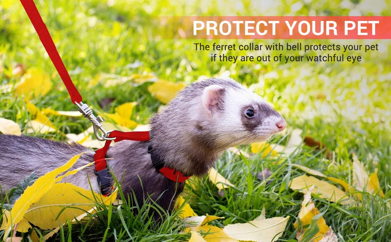 Red Ferret Sweater, Harness, and Leash Set - Ferret Clothes- Ferret Accessories - Clothes for Ferrets - Ferret Stuff - Hoodies for Ferrets - Ferret Accessories red - PawsPlanet Australia