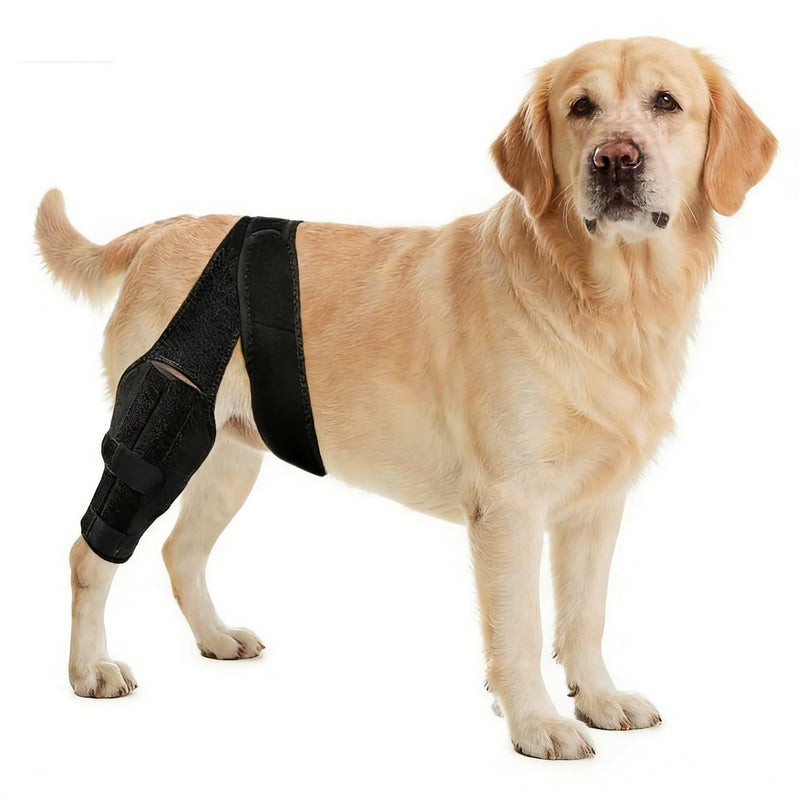 Dog Knee Brace for Torn ACL,Dog ACL Braces with Side Stabilizers,Adjustable Dogs Leg Brace Suitable for 4 Limbs,Dogs Hip Brace for Arthritis Relief, Joint Stability,Reduces Pain and Inflammation M