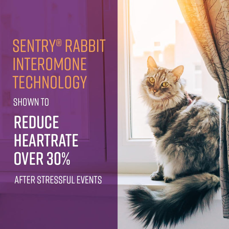 Sentry Behavior Portable Calming Diffuser for Cats, Reduces Stress and Bad Behavior with Calming Pheromones, Easy-to-use Portable Design, 30 Day Release Cat Diffuser