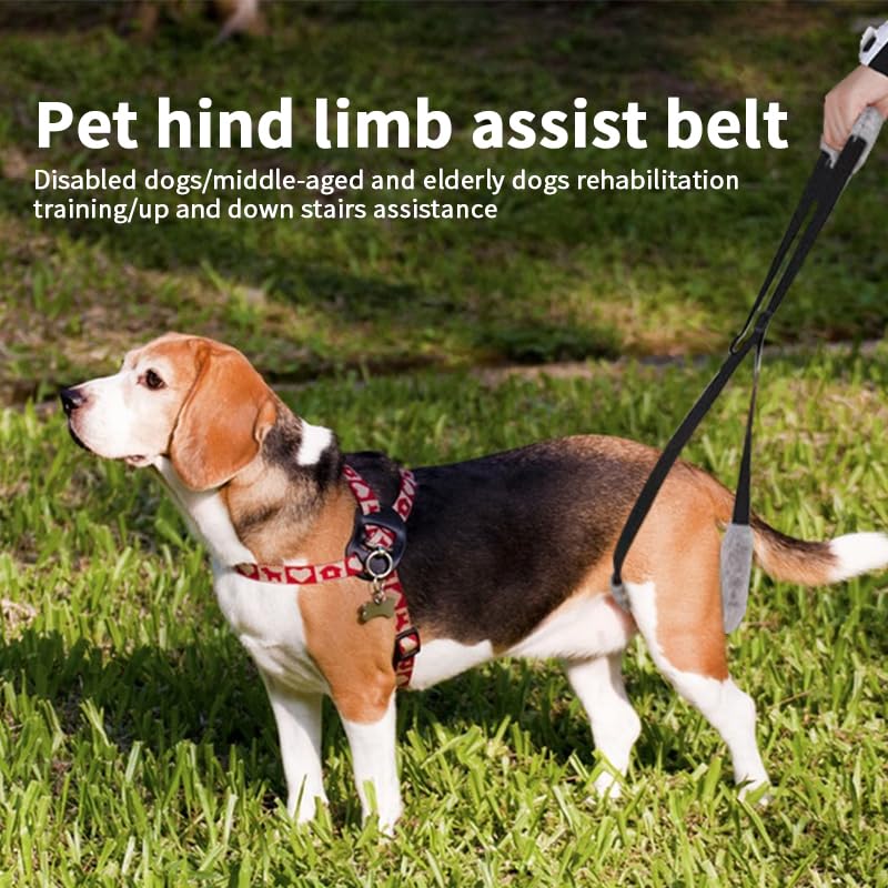 Dog Lifting Harness, Adjustable Assistance Dog Harness Dog Sling Leg Support for Injured Disabled Elderly Dogs Walking Aid