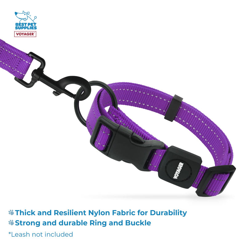 Best Pet Supplies Reflective Dog Collar with Adjustable Length, Heavy-Duty Buckle, and Strong Leash D-Ring, Training, Walking, Jogging Accessory for Small, Medium, and Large Breeds - Purple, S - PawsPlanet Australia