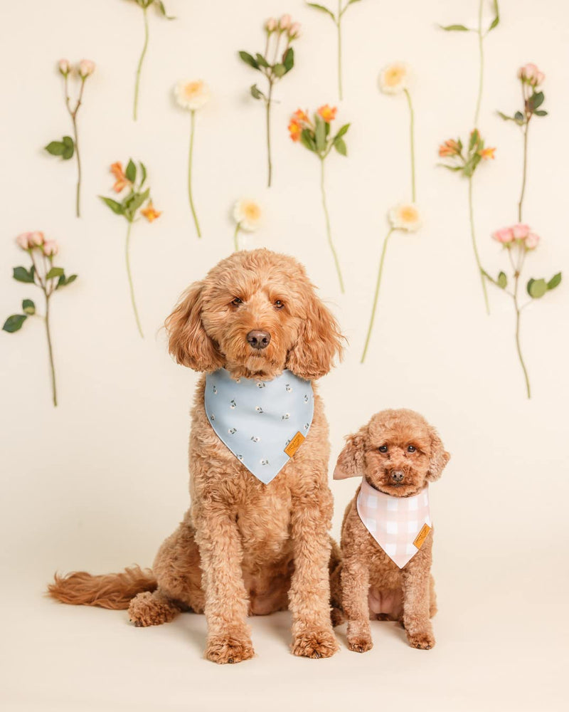 Remy+Roo Large Spring Dog Bandanas - 4 Pack Emily Set | Premium Durable Adjustable Polyester Fabric Dog Scarfs | Patented Shape Girl Dog Bandana, Trendy Patterns, Floral Dog Bandana - PawsPlanet Australia