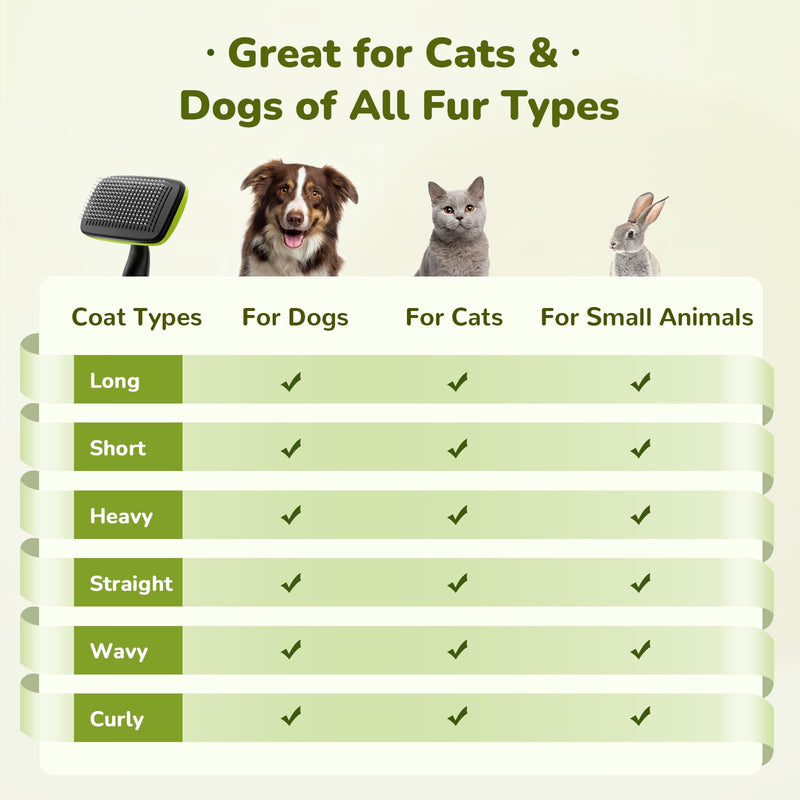 Pecute Cat and Dog Brush for Grooming - Self Cleaning Slicker With Rounded Pins for Short Haired Cats and Small Dogs - Safe and Smooth L Green