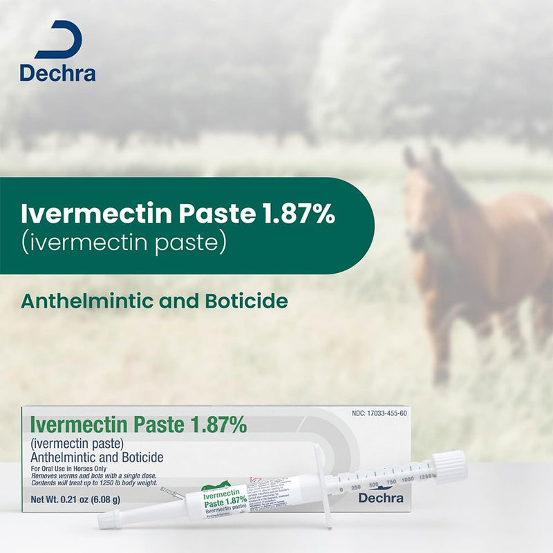 Dechra Ivermectin Paste 1.87% | Horse Dewormer Paste - PawsPlanet Australia