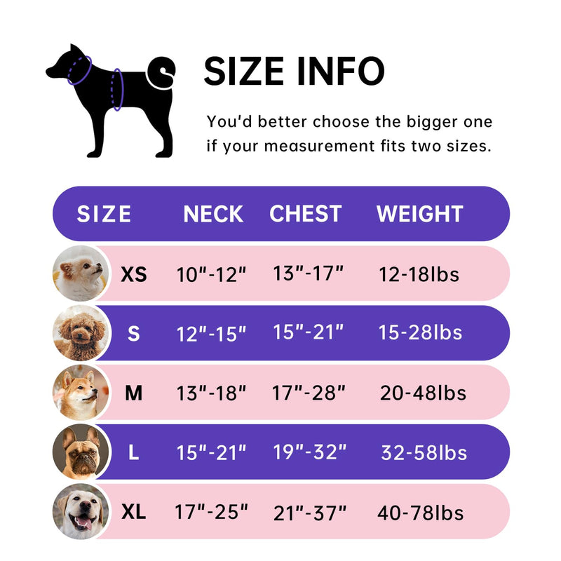 IVY&LANE No Pull Dog Harness for Small Dogs, Dog Vest Harness with Leash, Safety Belt and Storage Strap, Fully Adjustable Harness, 360° Reflective Strip, Soft Handle (Purple, S) Purple - PawsPlanet Australia