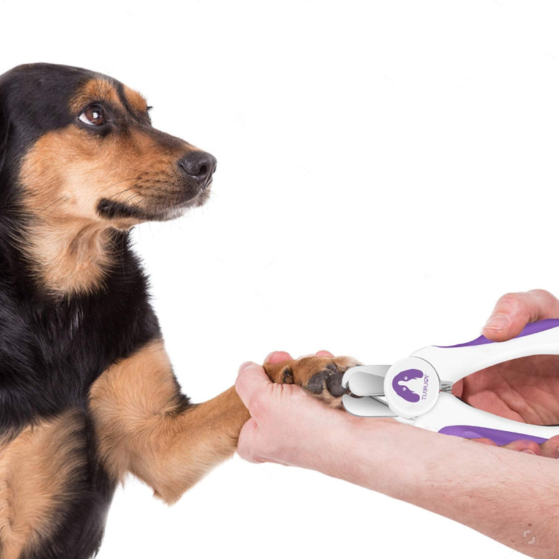 Dog Nail Clippers and Trimmers,Professional Grooming Tool with Safety Guard to Avoid Over Cutting,Free Nail File,Razor Sharp Blade,Sturdy Non Slip Handles for Large and Small Animals (Purple) Purple - PawsPlanet Australia