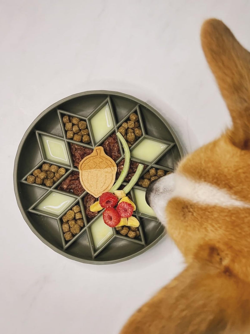 OHMO Slow Feeder Dog& Cat Bowl, Silicone Puppy Cat Food Bowl with Anti-Slip Suction Cup Slow Down Small Dogs Eating, Anti Choking (S-Diamond,Camo Green) Camo Green Diamond-S(5.9“) - PawsPlanet Australia