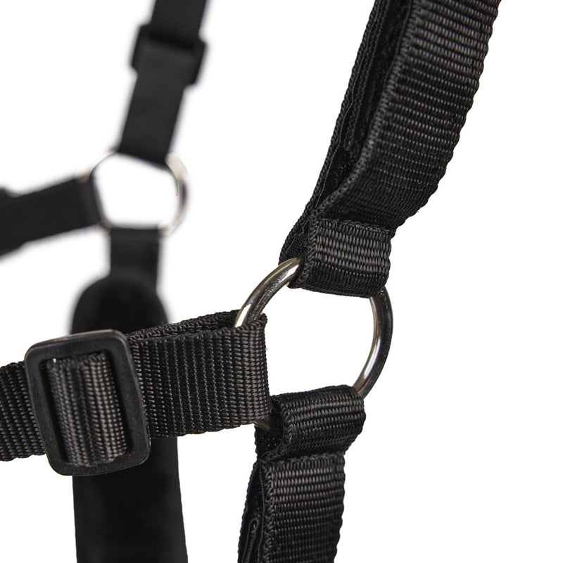 Shires FreeGraze Airflow Grazing Muzzle (Black, Full) Black