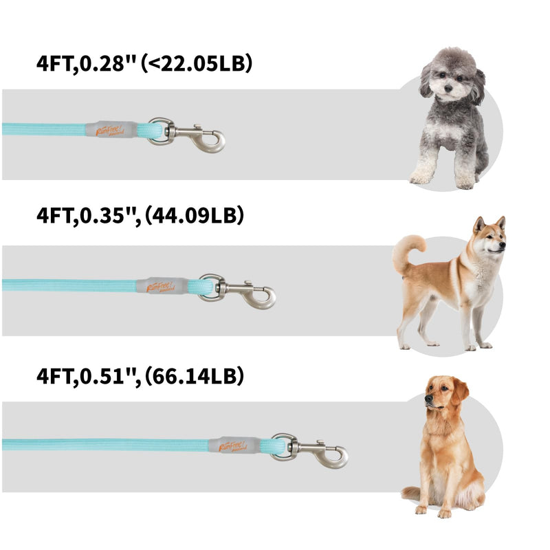 ZOOLAND 4 FT Dog Leash with Comfortable Padded Handle Threads for Small Medium and Large Dogs Puppy Laisse Pour Chien (4FT-0.28"(Pack of 1) Green S) 0-22LB - PawsPlanet Australia