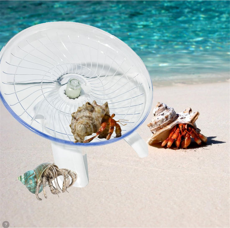 Funny Hermit Crab Running Wheel Climb Toy, Hamster Reptiles Running Flying Wheel Saucer, Cute Running Wheel for Guinea Pig Small Pet Animals Tree Frog Hamster Lizard Salamander Hermit Crab (White) White - PawsPlanet Australia
