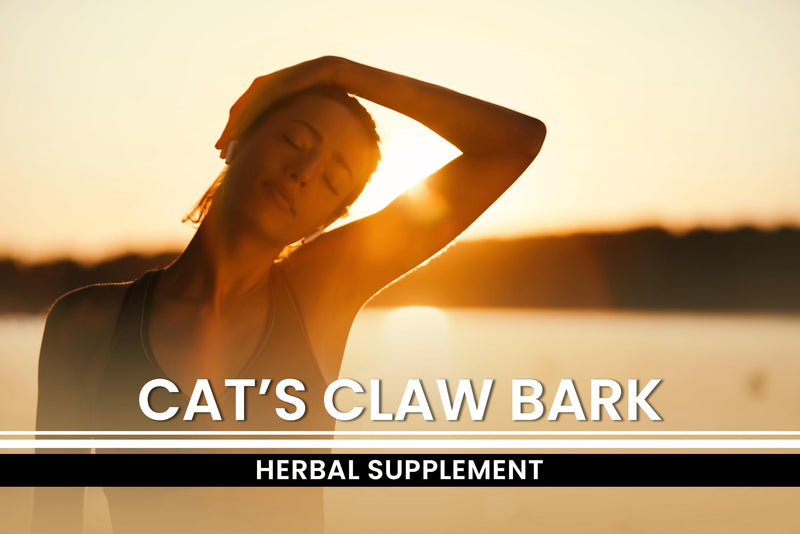 Pure Original Ingredients Cat's Claw Bark (365 Capsules) No Magnesium Or Rice Fillers, Always Pure, Lab Verified 1 Count (Pack of 365) - PawsPlanet Australia
