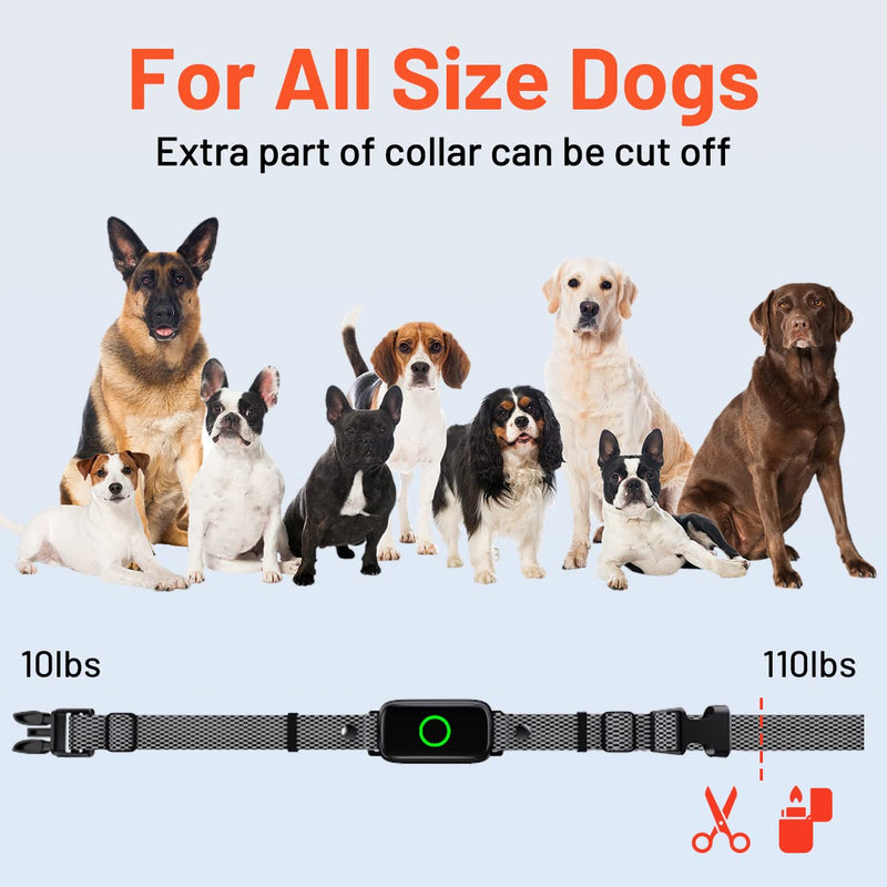 Shock Collar Dog Training Collar with Remote 3300ft Range Waterproof E Collar Rechargeable Electric Dog Shock Collar for Small Medium Large Dogs with Beep Vibration Shock and Light Dog Collar - PawsPlanet Australia