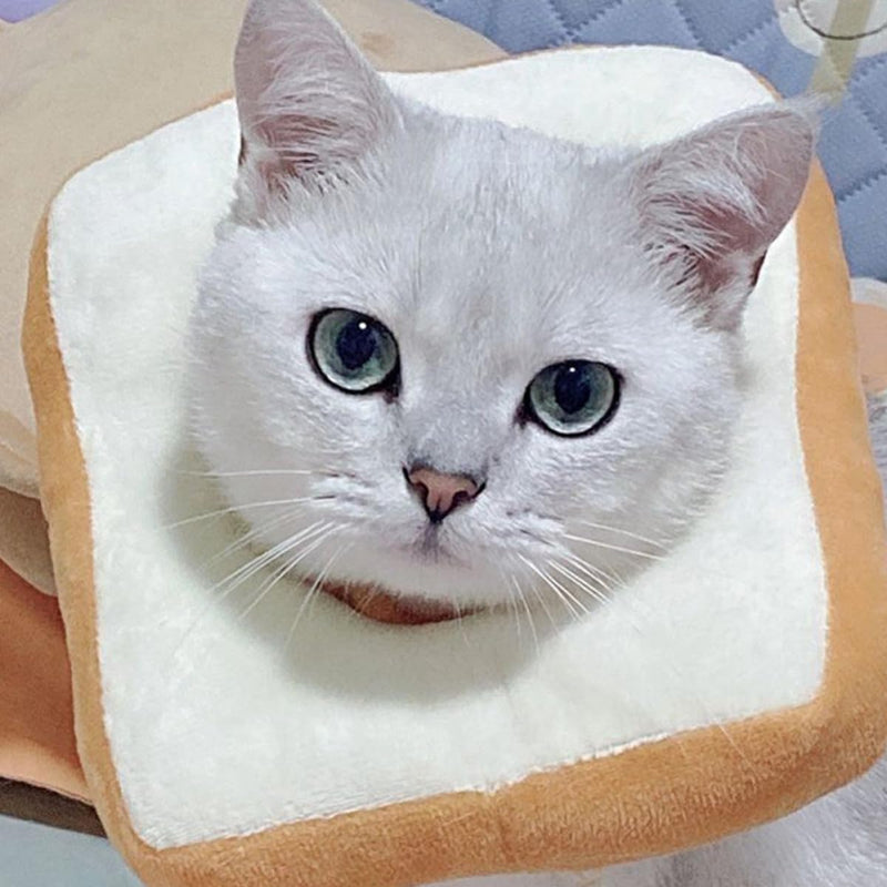 Cabilock bread-shaped cat collar made of cotton. Lightweight and soft cat collar. Protects wounds. Effective in the recovery of pet cats. Easy to put on.