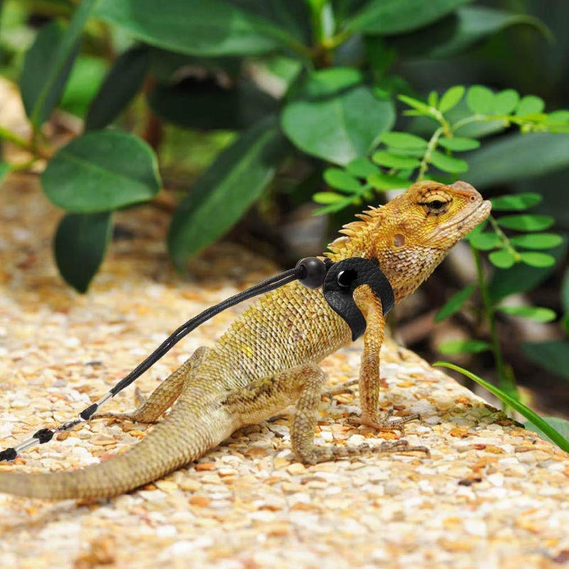 3 Packs Bearded Dragon Harness and Leash Adjustable(S,M,L) - Soft Leather Reptile Lizard Leash for Amphibians and Other Small Pet Animals black