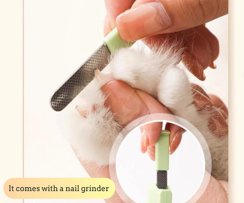 3 in 1 Dog & Cat Pets Nail Clippers and Trimmers-with Safety Guard to Avoid Overcutting. LED Dog Nail Clipper with Light, Illuminates Nails or Bloodline for Safe and Easy Trimmers,for Cats & Dogs - PawsPlanet Australia