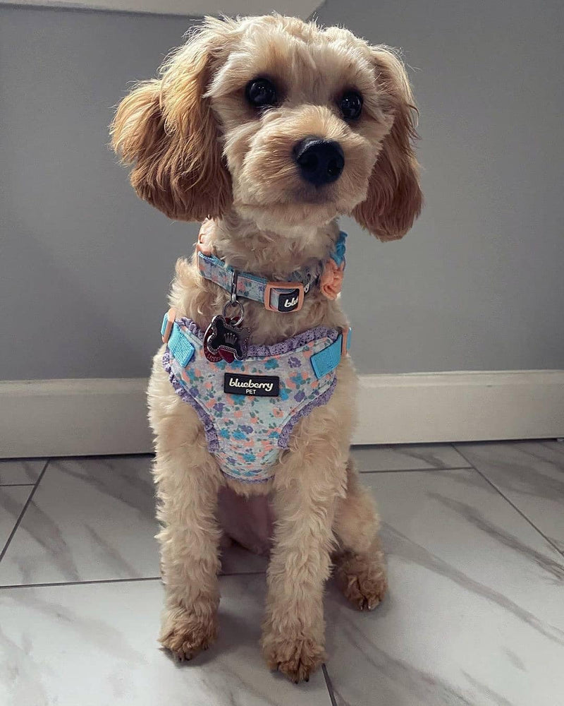 Blueberry Pet Dog Collar, Adjustable Floral Print Puppy Collar in Lavender with Removable Flower, Small 12"-16" Neck, Cute Girl Dog Accessories, Pink Dog Collars for Small Dogs, Safe Fit - PawsPlanet Australia