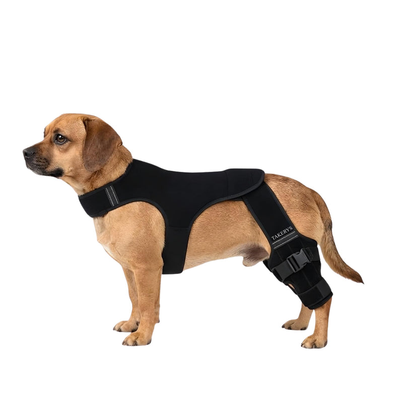 Dog Knee Brace for Back Leg Support – Adjustable Dog Leg Stabilizer with Hip Support, Comfortable Mobility & Joint Support for Small, Medium & Large Dogs (S) S