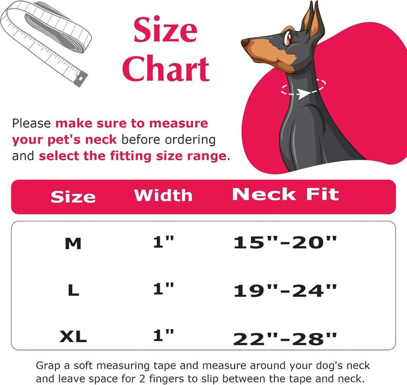 Dog Choke Collar?Stainless Steel Chain Martingale Collar for Dogs, No Pull Slip Cinch Choker Choke Heavy Duty Dog Collars XL(Neck22-28") Skull - PawsPlanet Australia