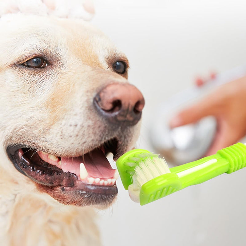 2 x Dog Toothbrush Pet Toothbrush for Dogs Pet Toothbrush Triple Head Dog Toothbrushes Long Handle Dog Toothbrush for Dogs and Cats