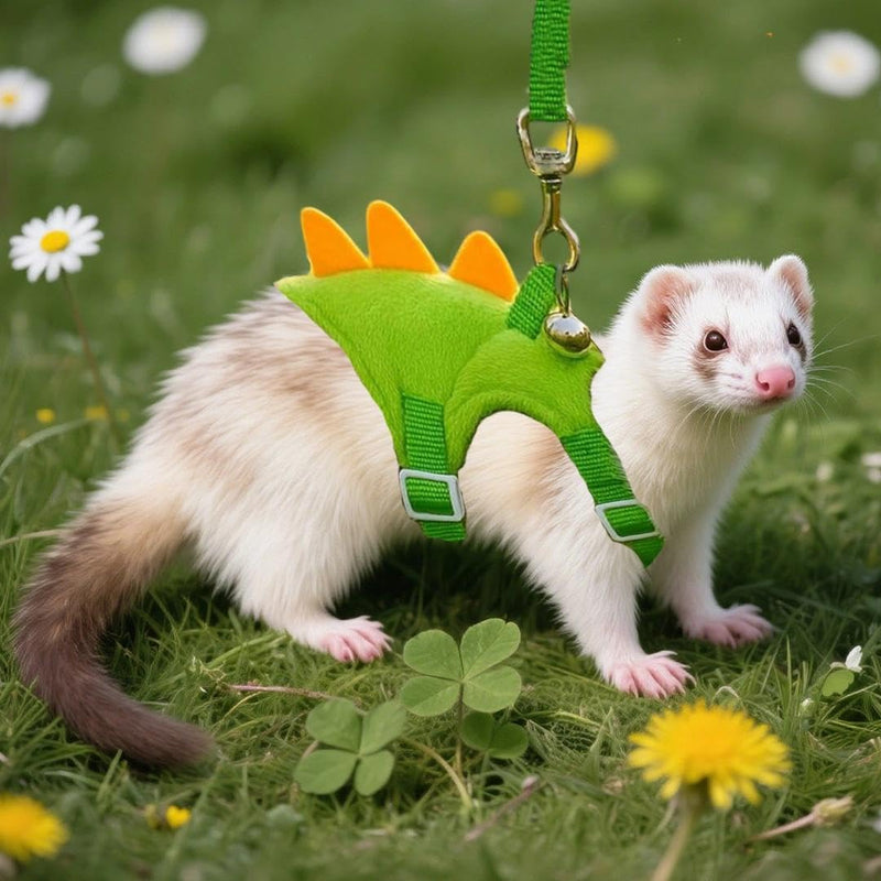1 Pack Dinosaur Shaped Ferret Harness and Leash Set Hedgehog Hamster Leash Guinea Pig Harness Adjustable Hamster Clothes Outfits Hedgehog Accessories Green - PawsPlanet Australia