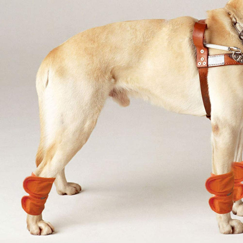 Zerodis Pack of 2 Pet Legs Brace Recovery Strap Bracket Elbow Protection Leg Warmers Knee Pads Surgery Wound Gaiters Protection Post-Operative Arthritis Leggings for Dogs Cats Pets (M - Orange)