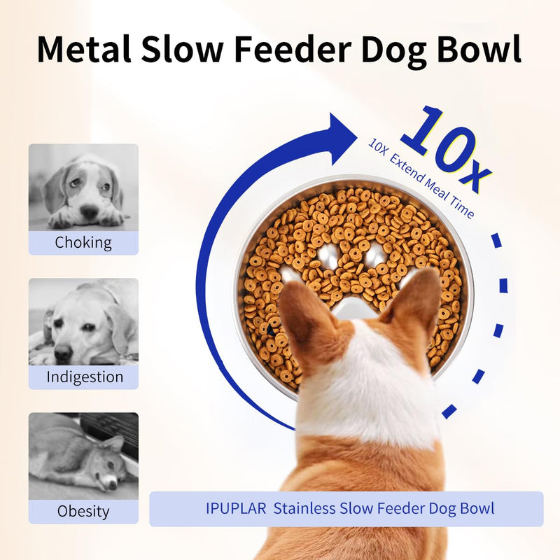 Slow Feeder Dog Bowls, 304 Stainless Steel Metal Dog Bowl Slow Feeder, Suction Cup Anti Flip Dog Food Bowl,2X Non-Slip,2-4 Cups, for Small & Medium Breed Claw Print 2 Cups/ 1.6" Deep (Max 4Cups) - PawsPlanet Australia