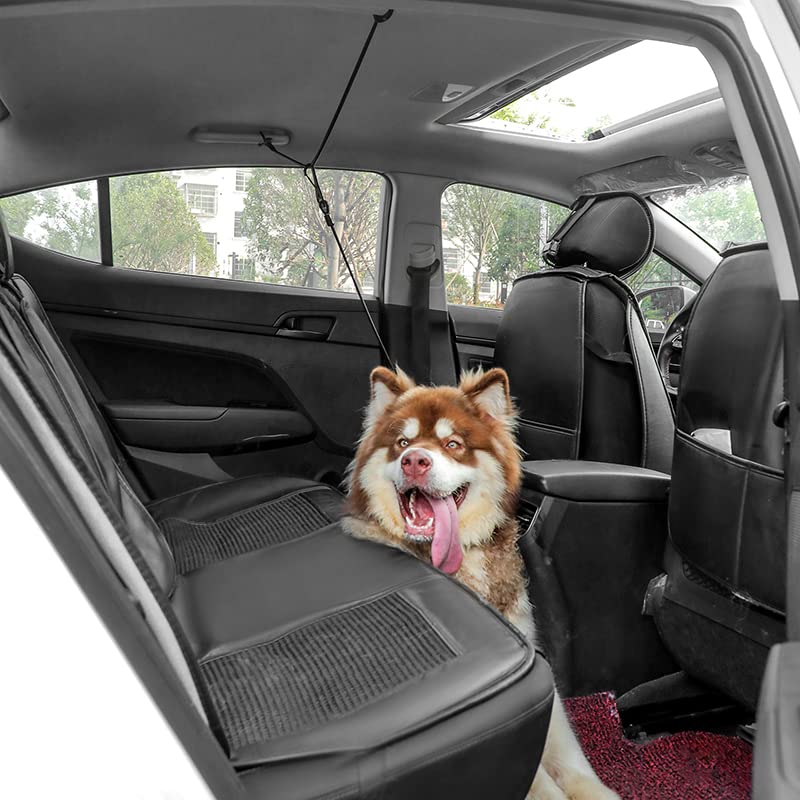 Dog Seatbelt, Dog Car Harnesses, Back Seat Leash Made of Coated Wire Rope, Happy Ride Dog Zipline, Great for Travel, Safety Restraint No-Chew Tether Cable Stainless Steel. (5 FT, for 1 Dog) 5 FT - PawsPlanet Australia
