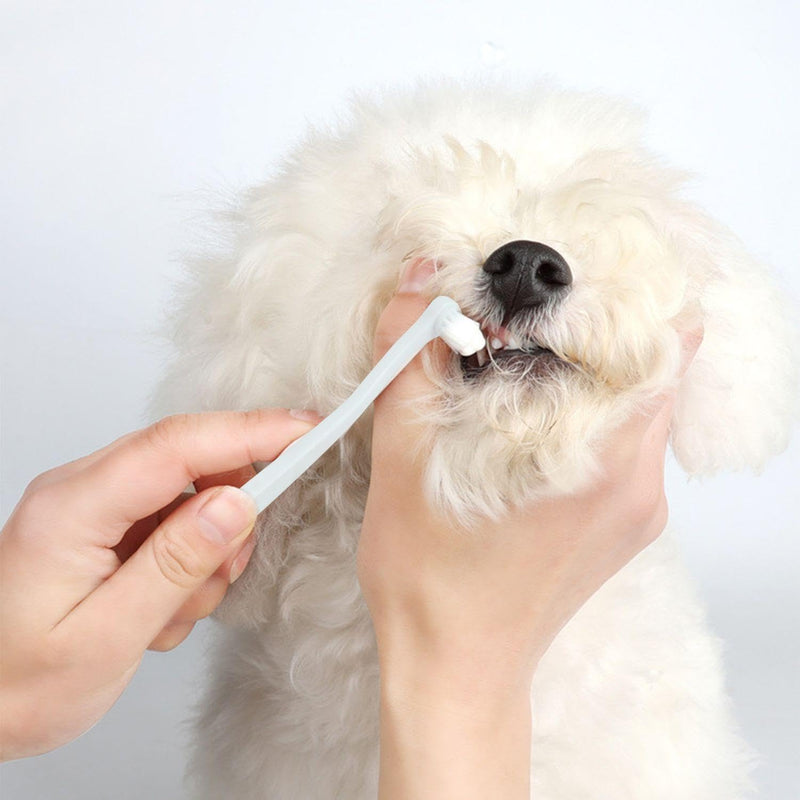 Pack of 6 Pet Toothbrushes and 6 Pieces Transparent Finger Toothbrushes, Teeth Cleaning Tools, Dental Care Supplies, Pet Accessories