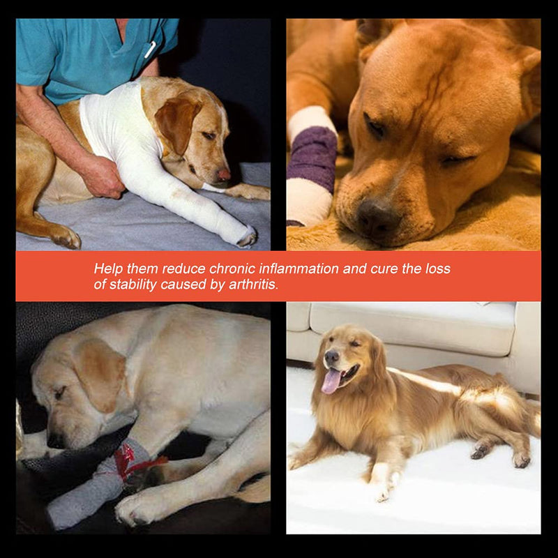 Dog Front Leg Braces, Stabilize Dog Front Leg Wrist Carpal Dog Canine Front Leg Brace Dog Front Leg Compression Braces Dog Leg Brace for Dogs with Injuries(Black, S, 12) black, S, 12 - PawsPlanet Australia