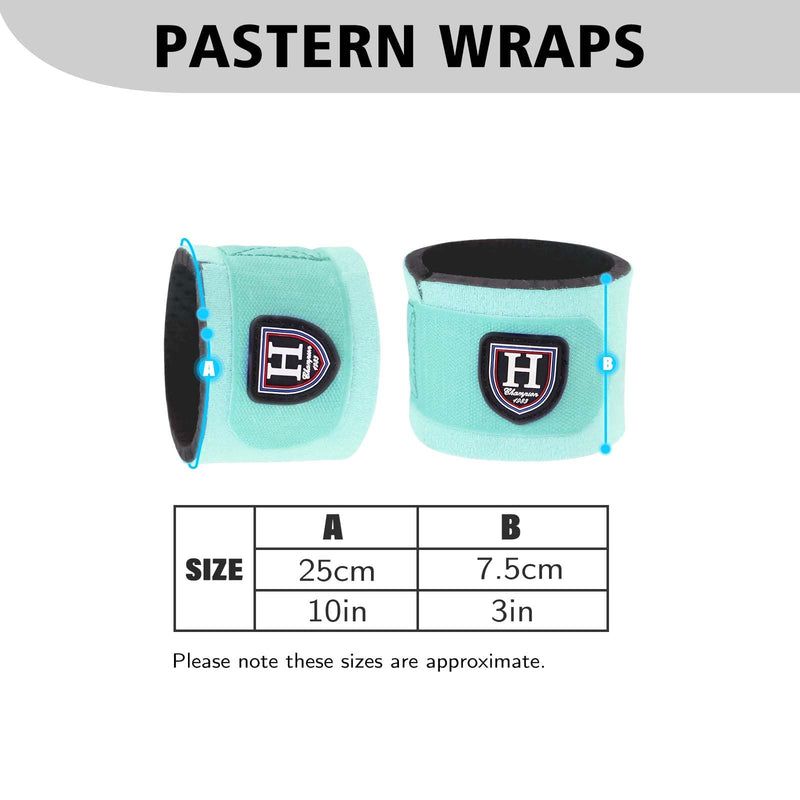 Harrison Howard Durable Shock-Absorbent Breathable Impact Protection Pastern Wraps for Horse Sold in Pairs Summer Mint Turquoise - PawsPlanet Australia